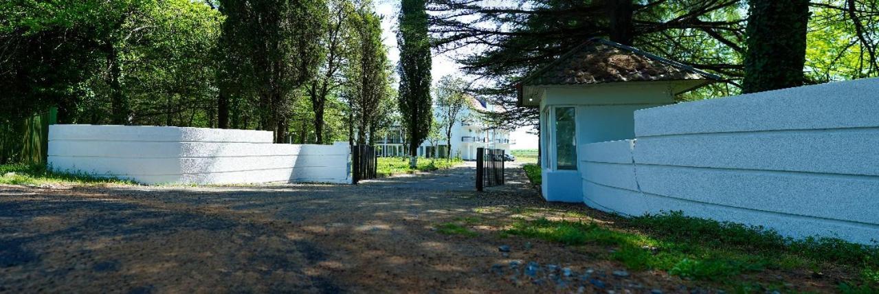 Hotel Tsiskari Ianet'i Εξωτερικό φωτογραφία