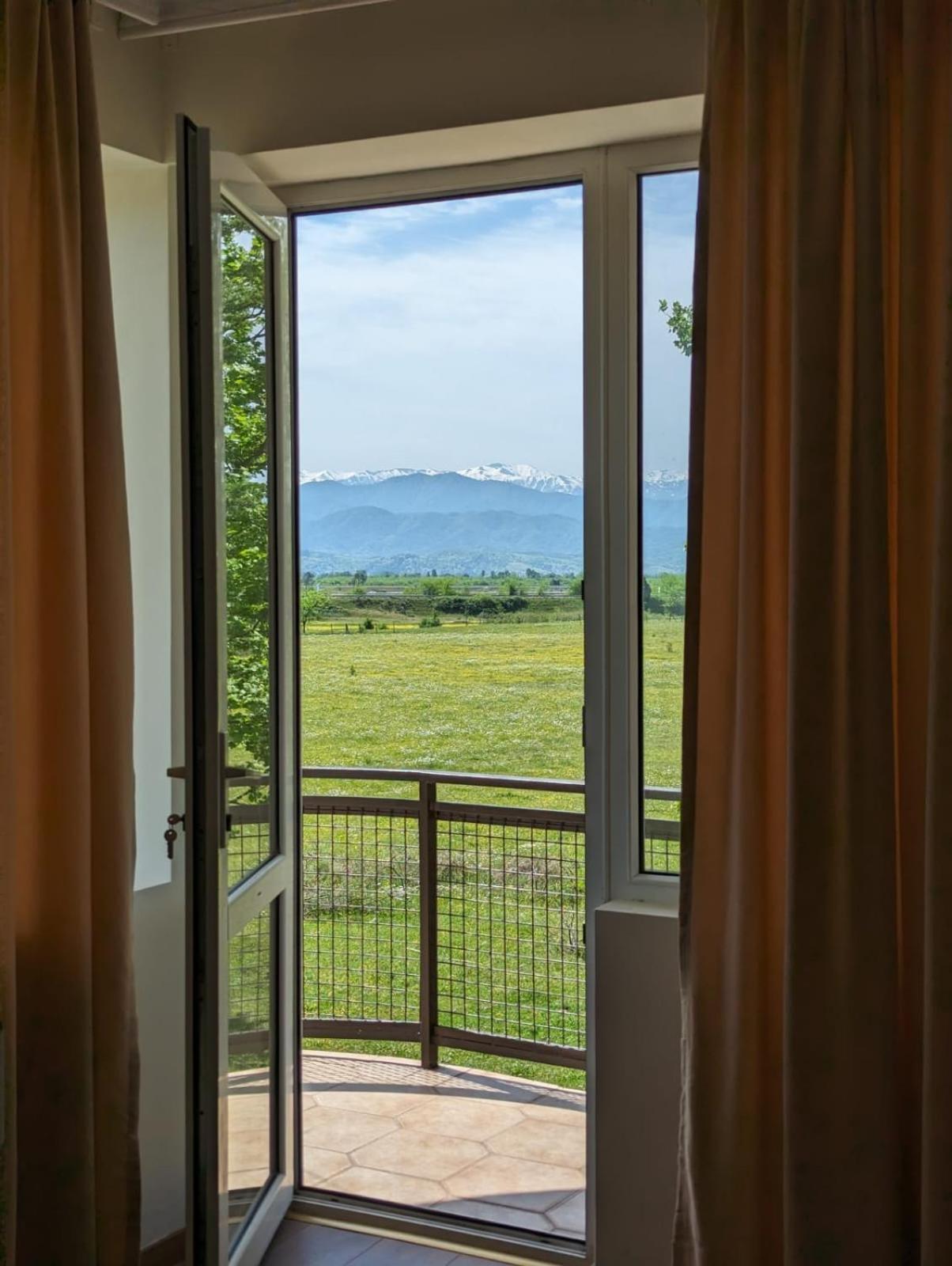 Hotel Tsiskari Ianet'i Εξωτερικό φωτογραφία