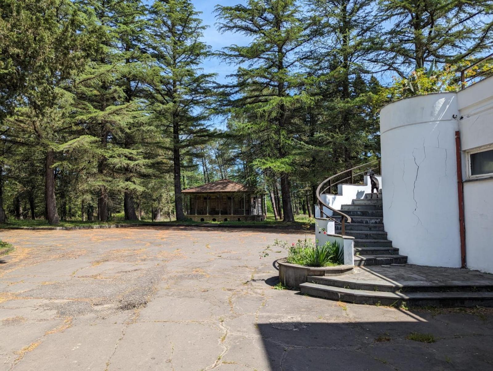 Hotel Tsiskari Ianet'i Εξωτερικό φωτογραφία