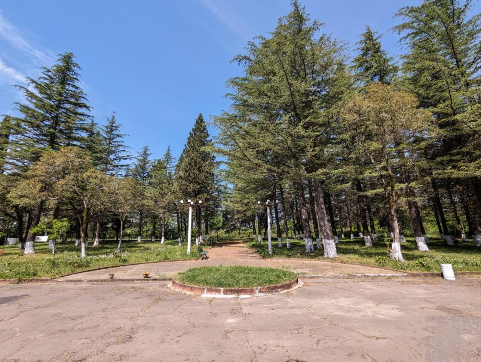 Hotel Tsiskari Ianet'i Εξωτερικό φωτογραφία